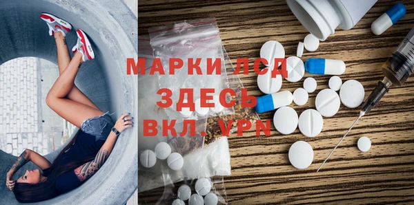 трава Медвежьегорск