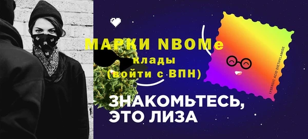 сатива Балахна