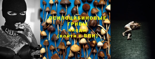 сатива Балахна
