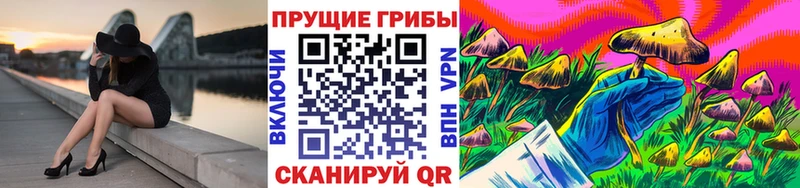 Купить где  Анива  Псилоцибиновые грибы GOLDEN TEACHER 