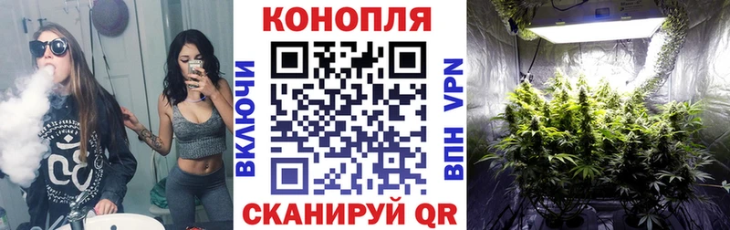 Бошки Шишки MAZAR  Купить  Анива 